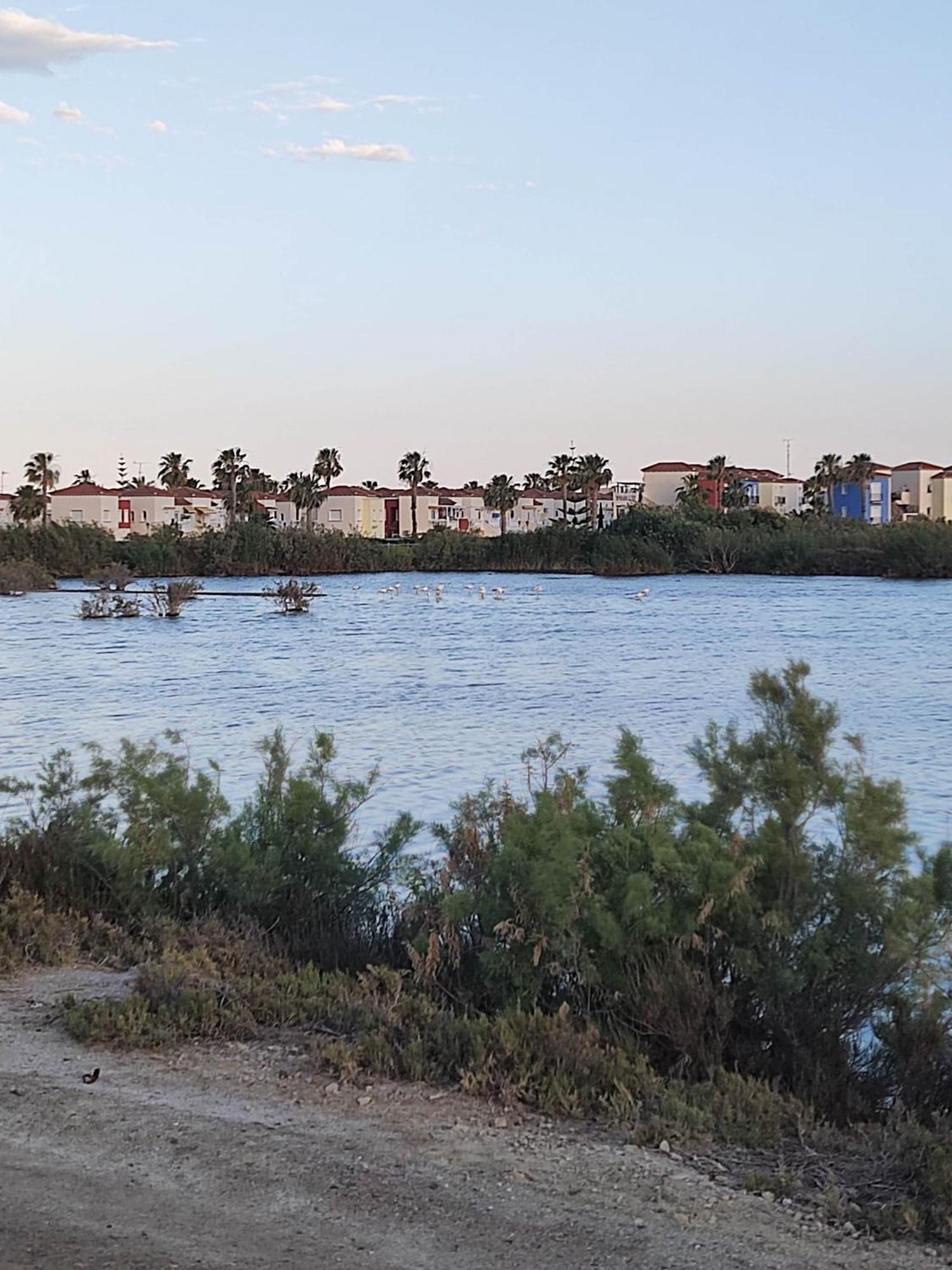 El Mirador De Torremari - Nudista - Vera Playa Εξωτερικό φωτογραφία